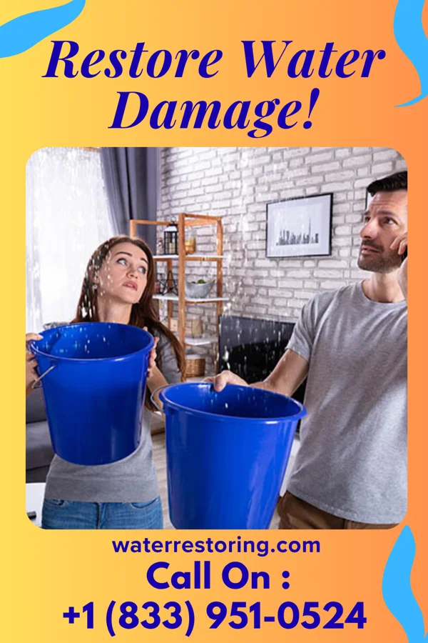 water restoration Power Flood Mitigation Professionals Northridge