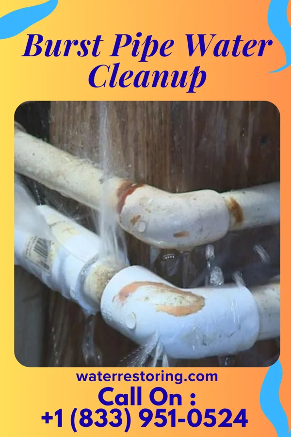 Burst Pipe Water Cleanup in Northridge, OH