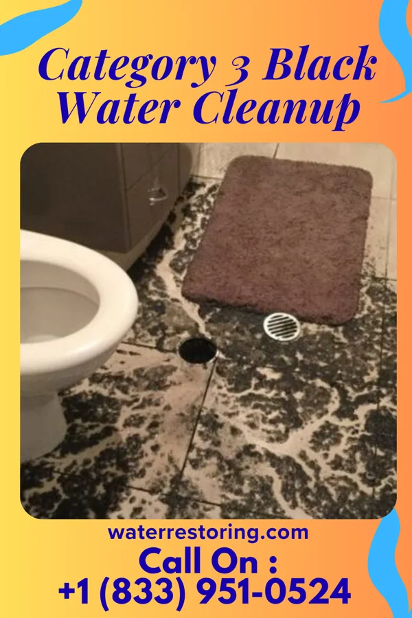 Category 3 Black Water Cleanup in Northridge, OH
