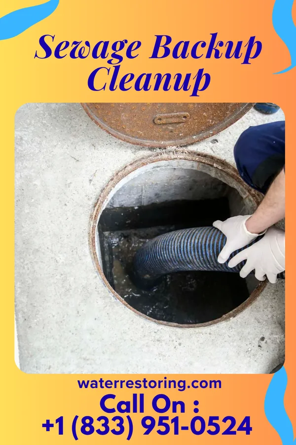 Sewage Backup Cleanup in Northridge, OH